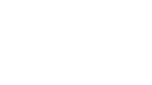 CyberDagger LLC